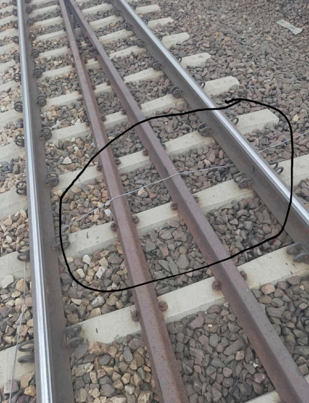 1159475949674942
