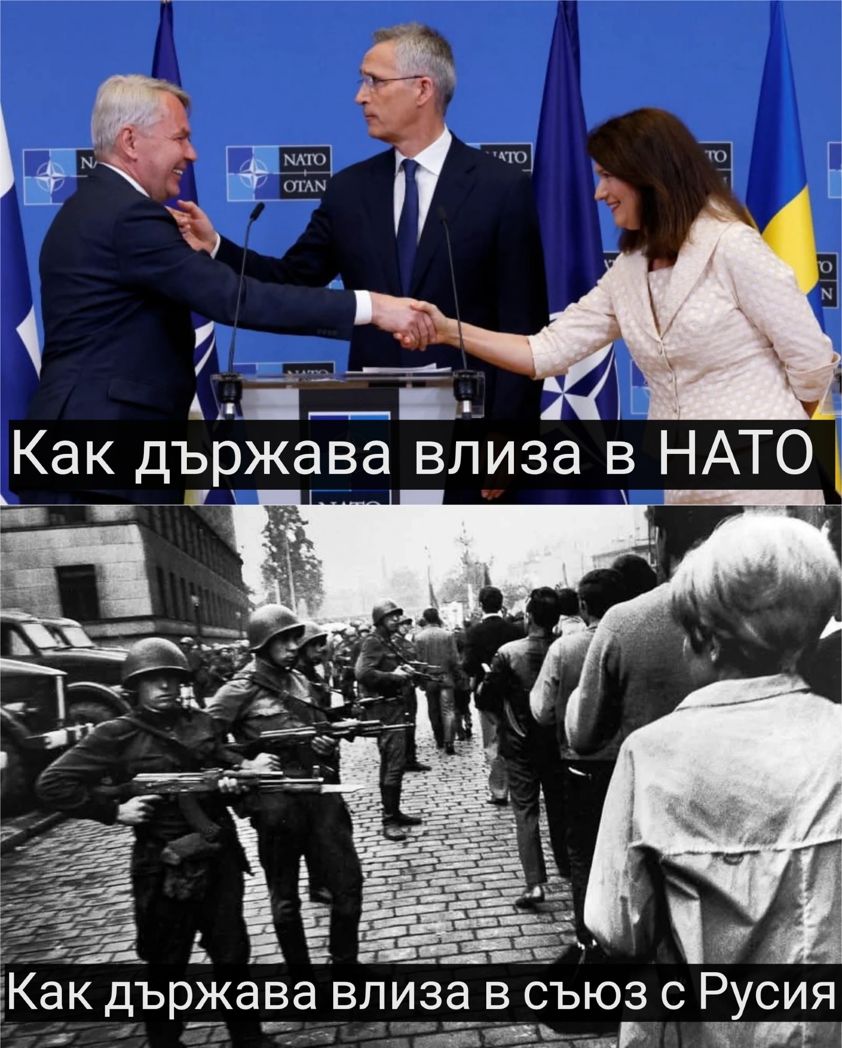 1174547944834409