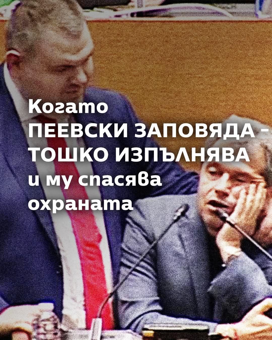 1201784425444094