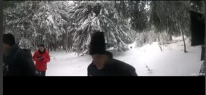 1231899702432566