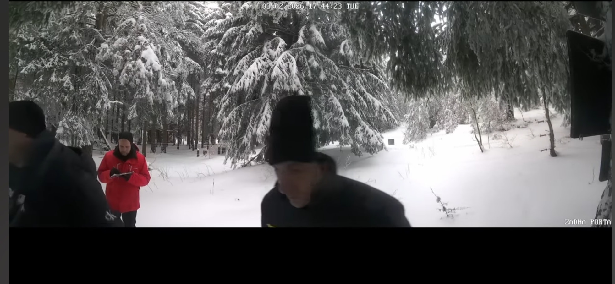 1231899702432566