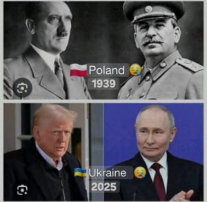 963255382630334