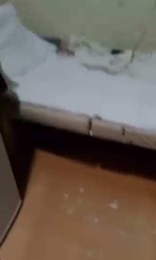 poster-1235886441845294