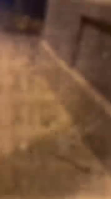poster-2892653344436472