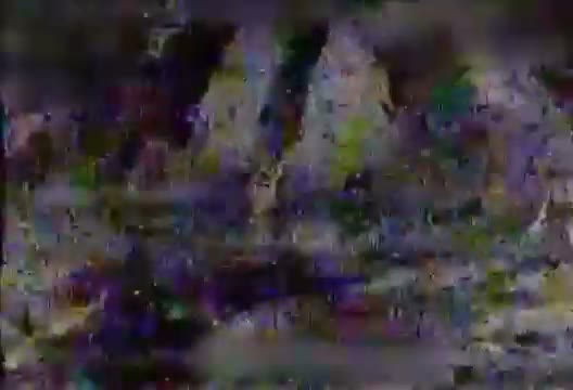 poster-4069342706717244