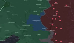 Screenshot_20261015-094132_Галерия